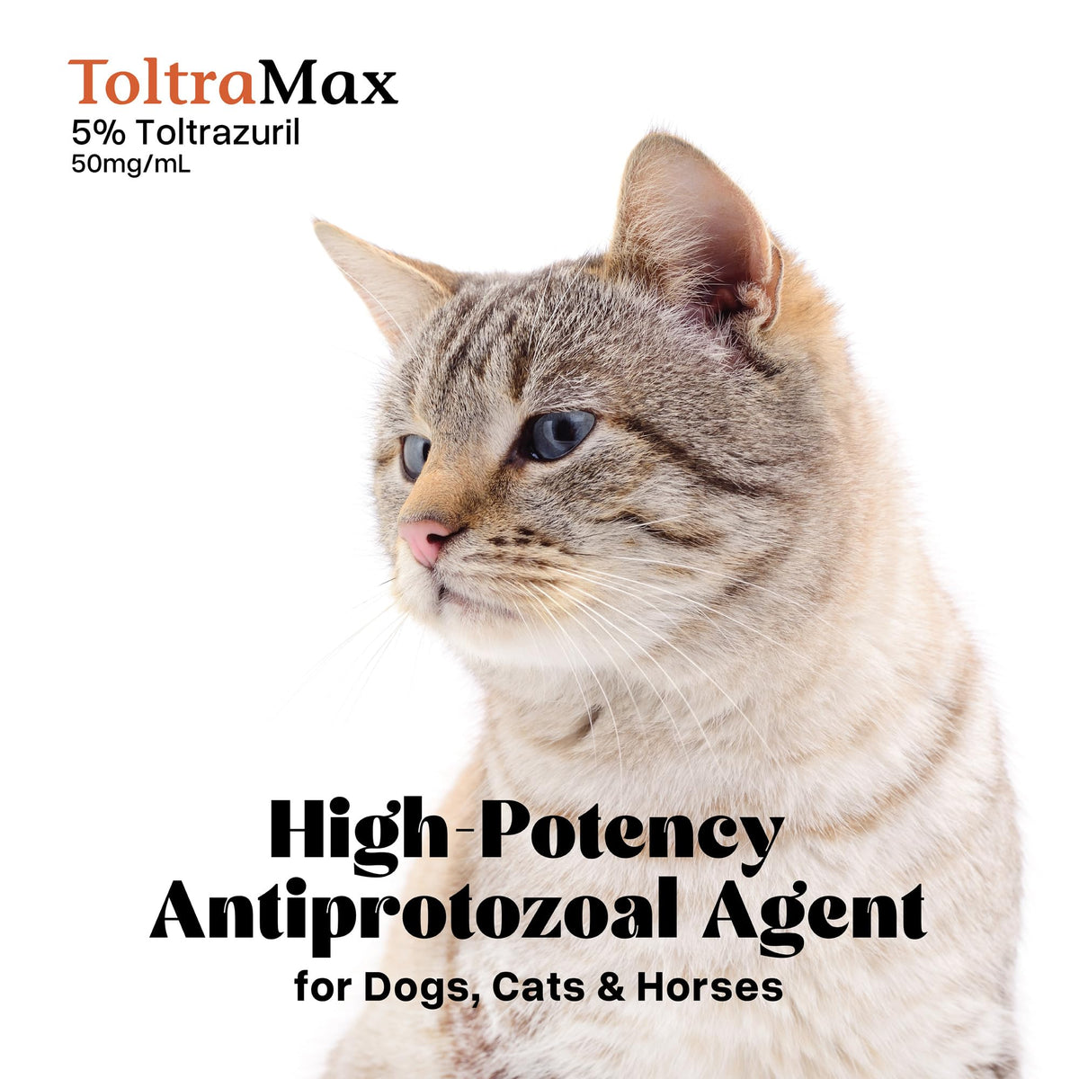 Toltrazuril 5.0% for Horses, Dogs, Cats, 60mL/2 Ounce, for Non-Food Chain Animals