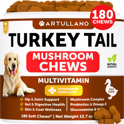 Dog Multivitamin Chewable with Glucosamine 26 in 1 - Dog Vitamins and Supplements - Senior & Puppy Multivitamin for Dogs - Pet Joint Support Health - Immunity, Mobility, Gut Skin - 120 Chews