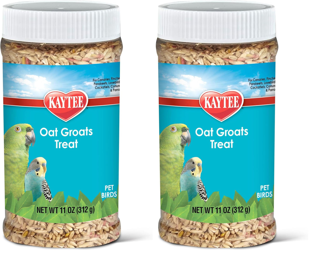 Kaytee Oat Groats Treat Jar for Pet Birds, 11 Ounces | More bird food variety. Crunchy bird treats. Easy to serve, protein source, parakeet treats