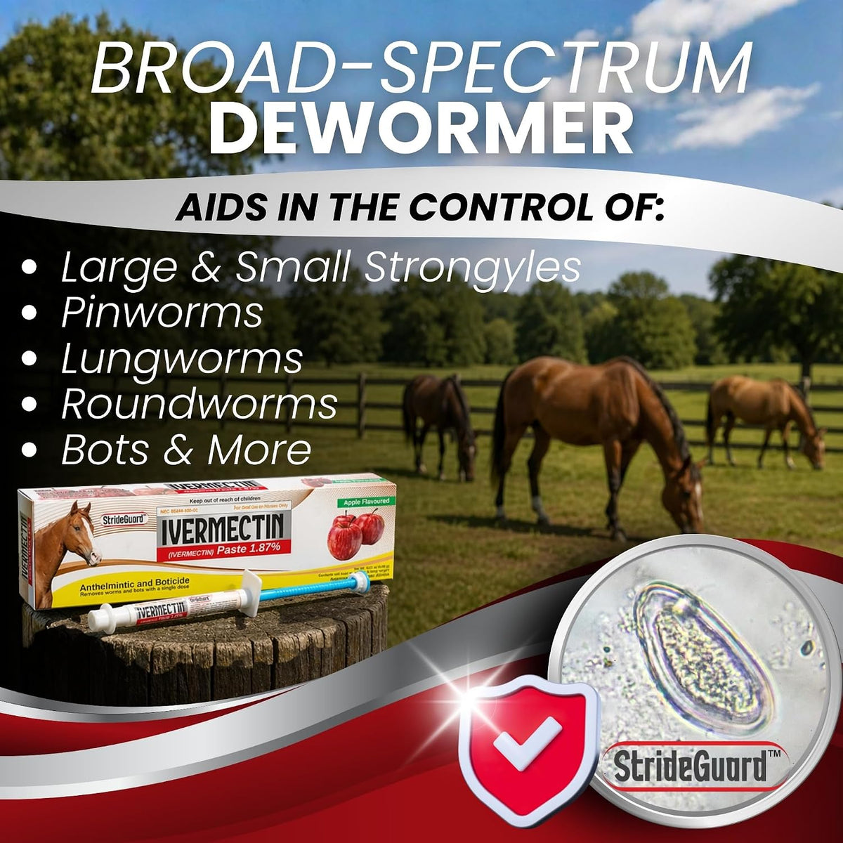 Ivermectin Horse Paste 1.87% – Apple Flavored Oral Horse Dewormer Syringe – 6.08g Tube Treats Horses Up to 1250 LB [Pack-3]