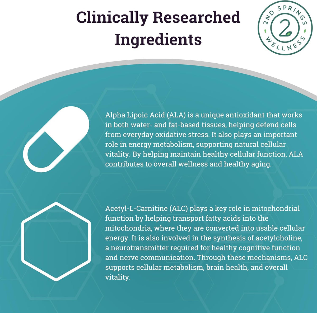 ALA & ALC Complex + Brain Support + Magnesium Bisglycinate Bundle | Energy, Focus, Memory, Cognitive Support, Nerve Health, Calm & Daily Wellness