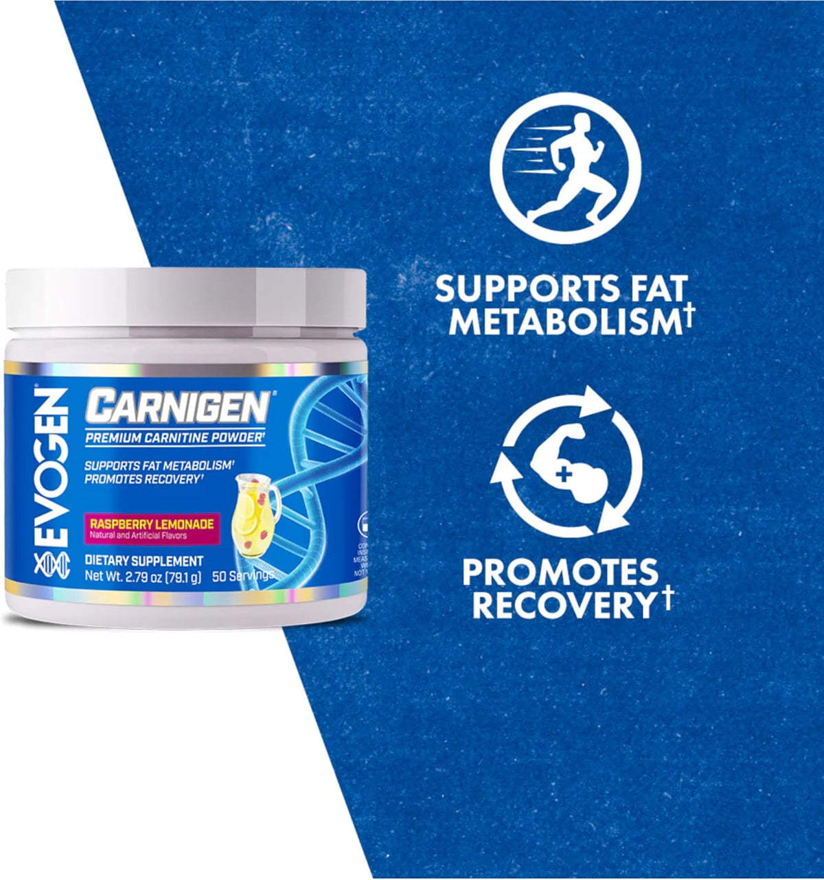 Evogen Carnigen Supports Energy and Metabolism | Raspberry Lemonade | 50 Servings