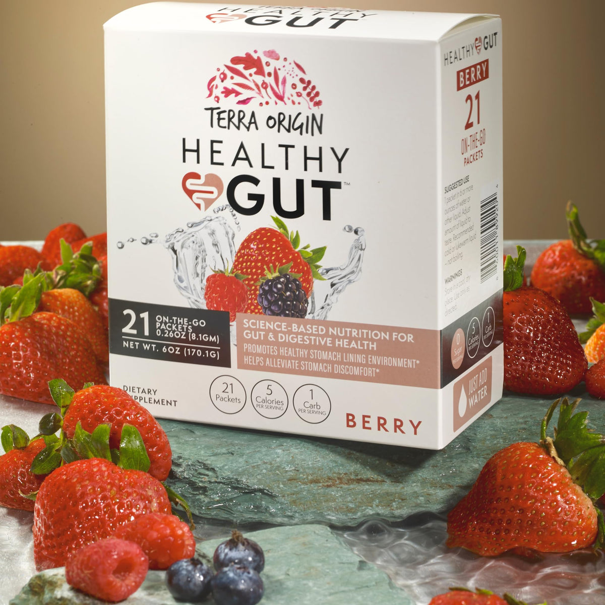 TERRA ORIGIN Healthy Gut Powder (Berry Flavor) |30-Servings with L-Glutamine, Zinc, Glucosamine, Slippery Elm Bark, Marshmallow Root and More!