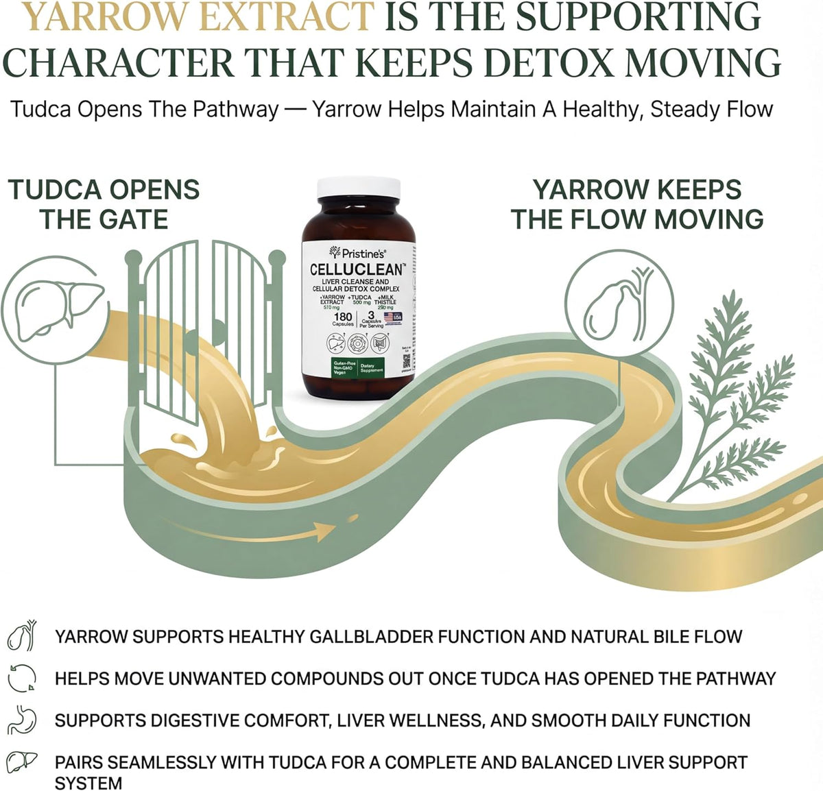 PRISTINE'S CelluClean Liver Support with TUDCA, Milk Thistle, 60 Count | TUDCA, milk thistle and yarrow in a daily liver support routine. Vegan, non-GMO, gluten-free and third-party tested formula