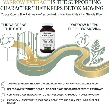 PRISTINE'S CelluClean Liver Support with TUDCA, Milk Thistle, 60 Count | TUDCA, milk thistle and yarrow in a daily liver support routine. Vegan, non-GMO, gluten-free and third-party tested formula