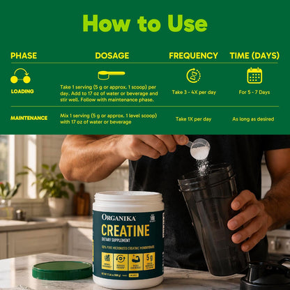 Organika Creatine Powder- 100% Pure Micronized Creatine Monohydrate - Helps Build Lean Muscle, Increase Strength, and Improved Recovery and Performance for Men and Women - 500g, 100 Servings