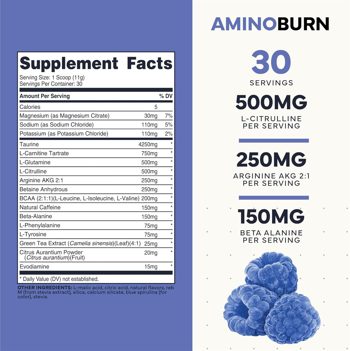 Type Zero Amino Burn (Blue Raspberry) 30 Servings, Clean Pre Workout | Vegan BCAA + Clean Pre Workout Powder with Arginine AKG, L-Citrulline & Beta Alanine, Endurance & Hydration Supplement