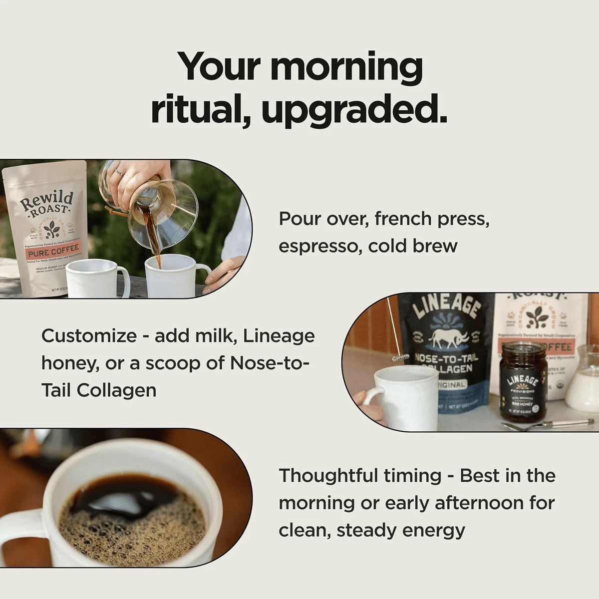 Lineage Provisions Rewild Roast Coffee, 12 oz Whole Beans | Organic whole coffee beans, Arabica medium roast with brown sugar, dark chocolate, toasted walnut, and citrus.