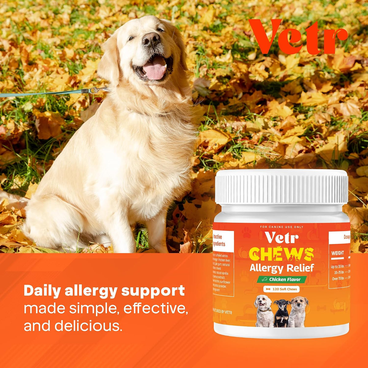 Vetr Allergy Relief Chews for Dogs - Dog Itching Skin Relief, Dog Allergy Treats with Probiotics and Omega-3 - Chicken Flavored 120 Count - Vet-Formulated in USA