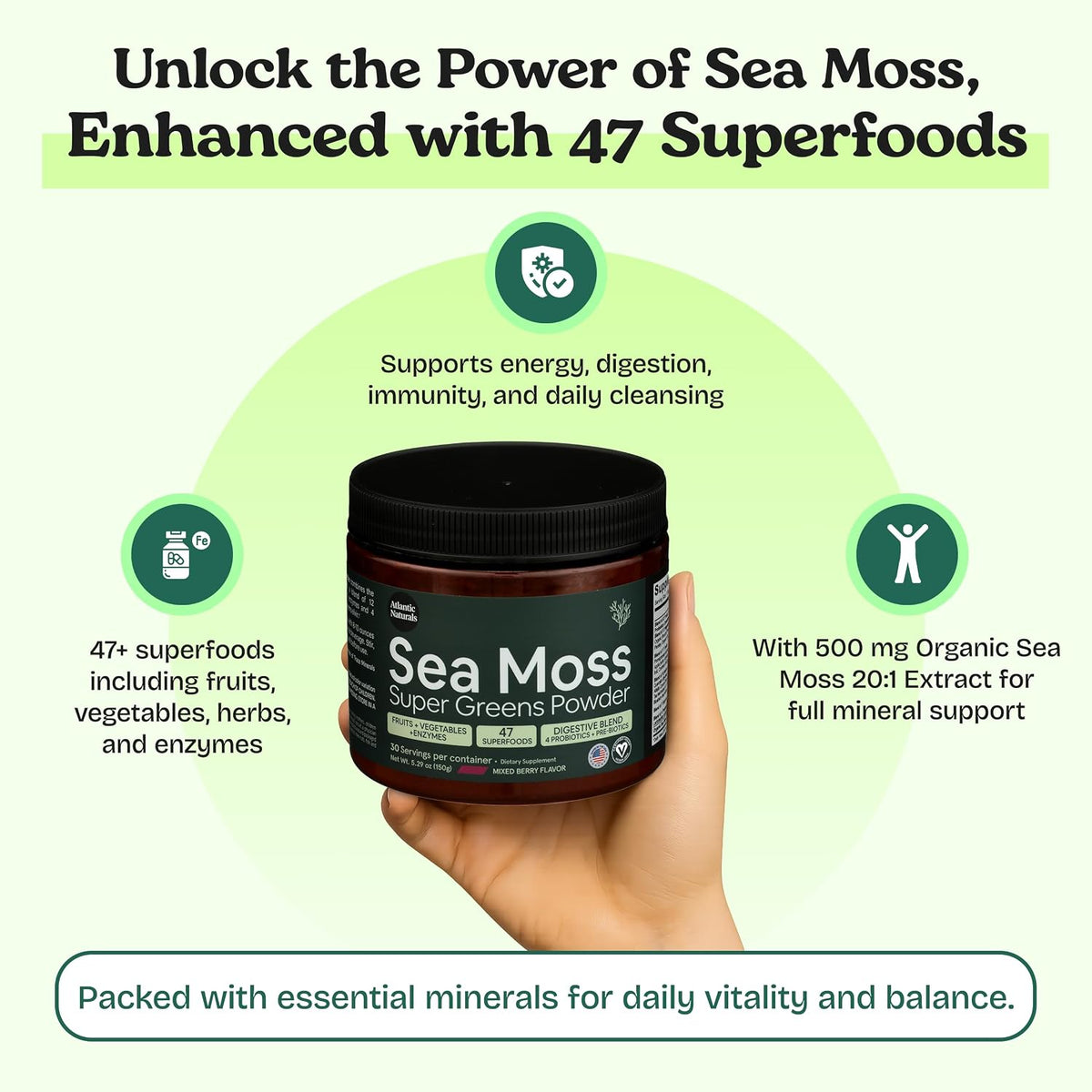 Atlantic Naturals Sea Moss Super Greens Powder – Organic Green Superfood Drink Mix with Fruits, Veggies & Probiotics – Energy, Digestion & Immune Support – 5000mg, Mixed Flavor