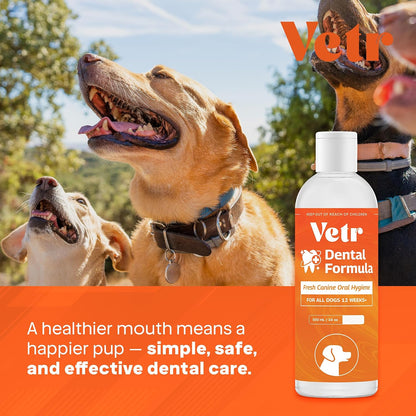 Vetr Dental Formula for Dogs - Peppermint Flavored Oral Care Liquid Additive with Enzymes for Breath and Teeth Support - Vet-Formulated in USA (16 oz)