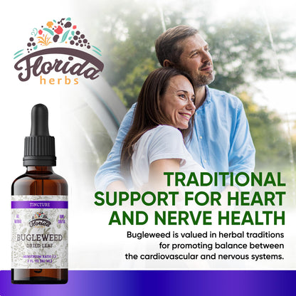 Bugleweed Tincture, Organic Bugleweed Extract (Ze LAN, Lycopus Virginicus) Herbal Supplement, Non-GMO in Cold-Pressed Organic Vegetable Glycerin 700 mg, 2 oz (60 ml)