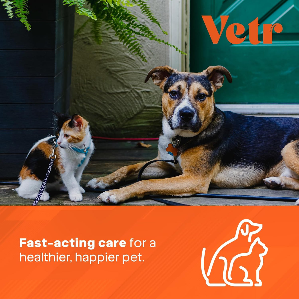 Liquid Intestinal Support for Dogs and Cats with Vetr PraziMax - Targets Tapeworms - 60mL Bottle with Dropper - Roasted Chicken Flavor