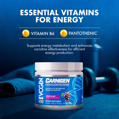 Evogen Carnigen Supports Energy and Metabolism | Raspberry Lemonade | 50 Servings