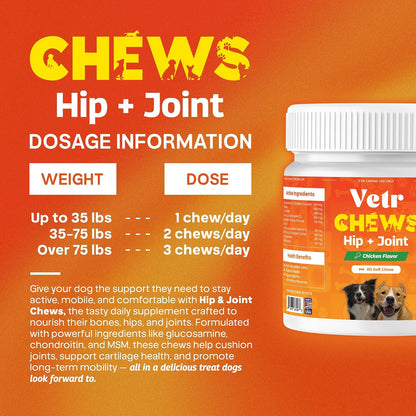 Vetr Hip and Joint Chicken Flavored Chews for Dogs - Glucosamine Chondroitin MSM Supplement - 120 Chewable Tablets - Vet-Formulated in USA