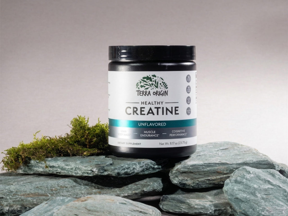 TERRA ORIGIN Healthy Creatine Micronized Monohydrate Powder | 30 Stick Packs | Support for Muscle and Cognitive Performance* | Supplement for Women and Men | Unflavored, Gluten Free, Zero Sugar