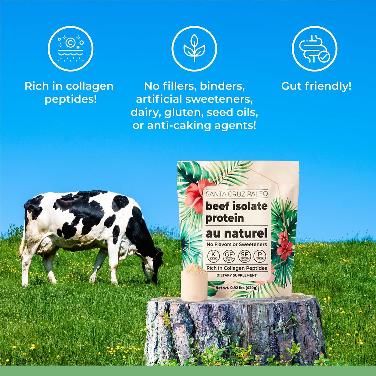 Santa Cruz Paleo, Beef Isolate Protein Powder, Au Naturel, Rich in Collagen Peptides for Protein Shakes or Smoothies, Gluten Free, Keto, Paleo, Unflavored, Unsweetened,1.1lbs (20g Protein Per Serving)