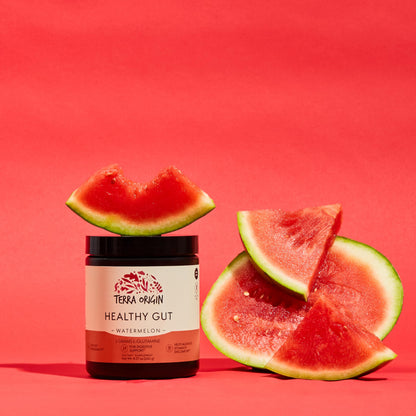 TERRA ORIGIN Healthy Gut Powder (Berry Flavor) |30-Servings with L-Glutamine, Zinc, Glucosamine, Slippery Elm Bark, Marshmallow Root and More!