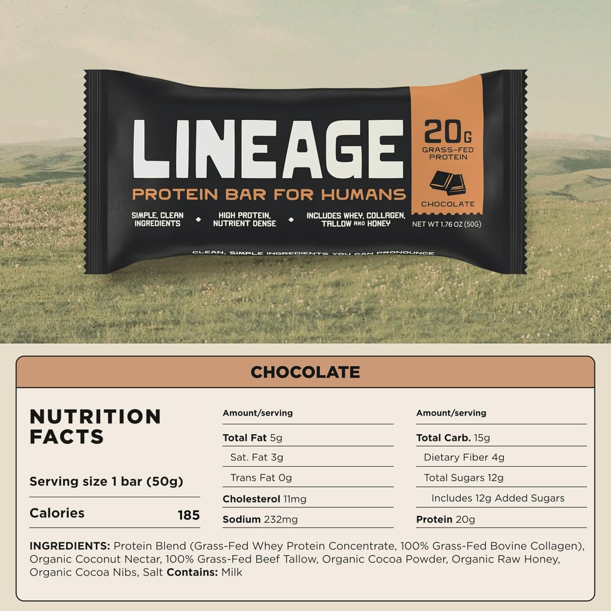 Lineage Provisions Chocolate Protein Bars, 12 Pack | 20g grass fed whey protein & collagen, gluten free, no seed oils, nothing artificial, with raw honey