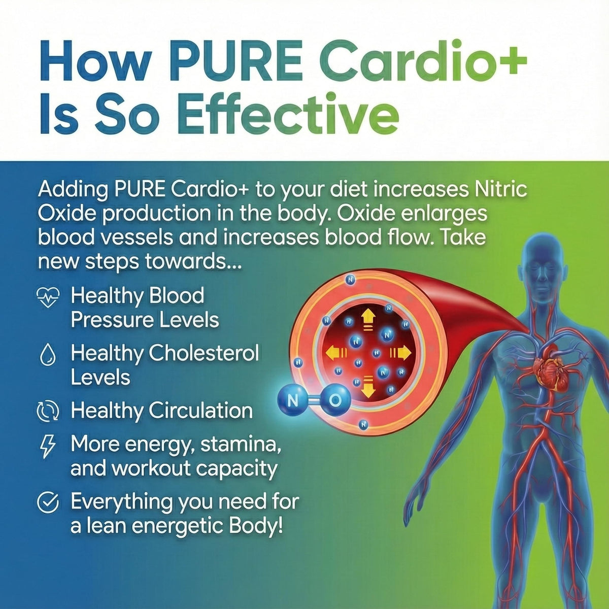 PURE® Cardio+ Nitric Oxide Heart & Circulation Support - 5000mg L-Arginine & 1000mg L-Citrulline - Mango, 30 Servings Powder, 375 Grams - CoQ10 Beet Root - High Potency Cardiovascular Formula