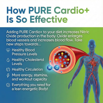 PURE® Cardio+ Nitric Oxide Heart & Circulation Support - 5000mg L-Arginine & 1000mg L-Citrulline - Mango, 30 Servings Powder, 375 Grams - CoQ10 Beet Root - High Potency Cardiovascular Formula