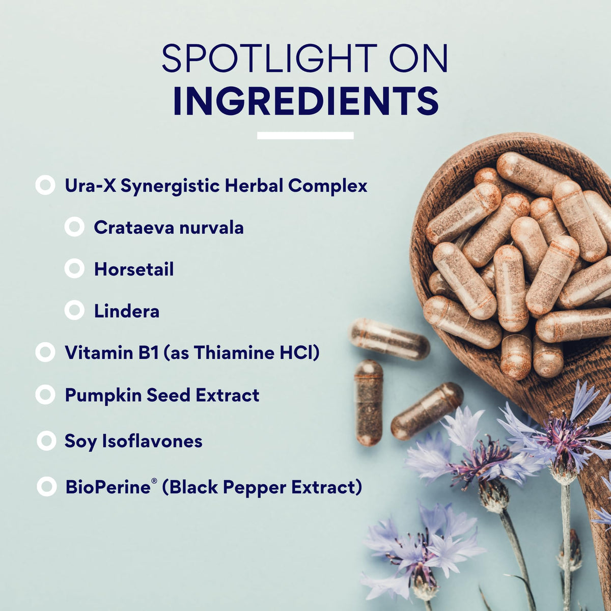 Research Verified Bladder Control - Leakage & Urgency - Pumpkin Seed, Soy Isoflavones, Thiamine - 60 Vegan Capsules - Pack of 1