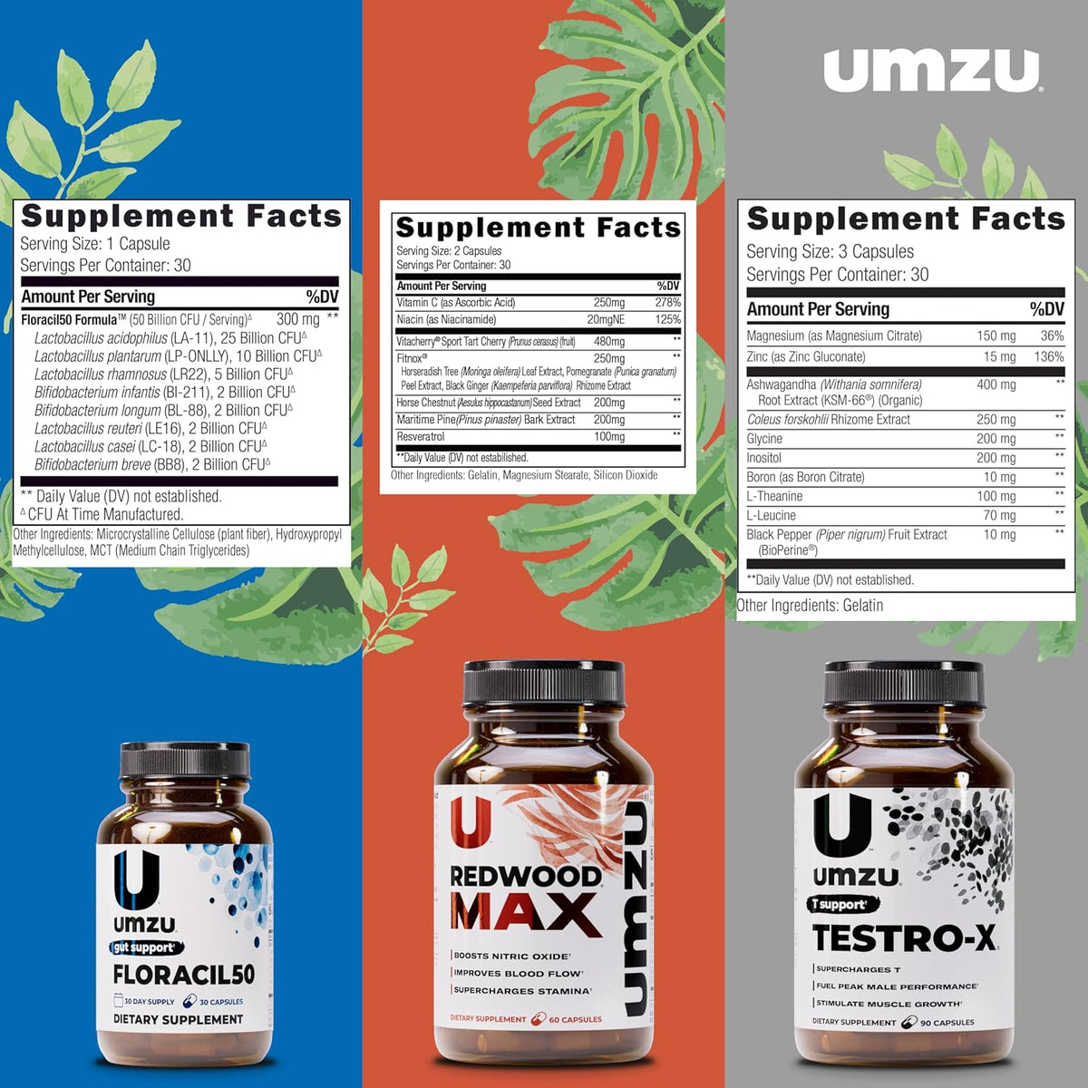 UMZU Redwood Max Floracil50 Testro-X Men’s Wellness Bundle Nitric Oxide Booster Circulation Support Probiotic Gut Health Formula Daily Energy Vitality Stack for Active Lifestyle Routine Support