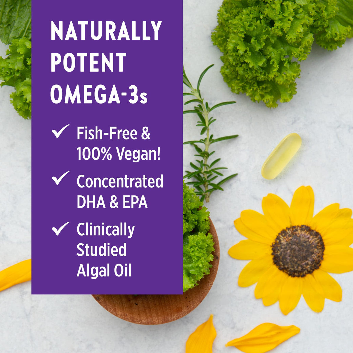 New Chapter Vegan Prenatal DHA, EPA, and DPA Supplement- Prenatal Vegan Omega-3