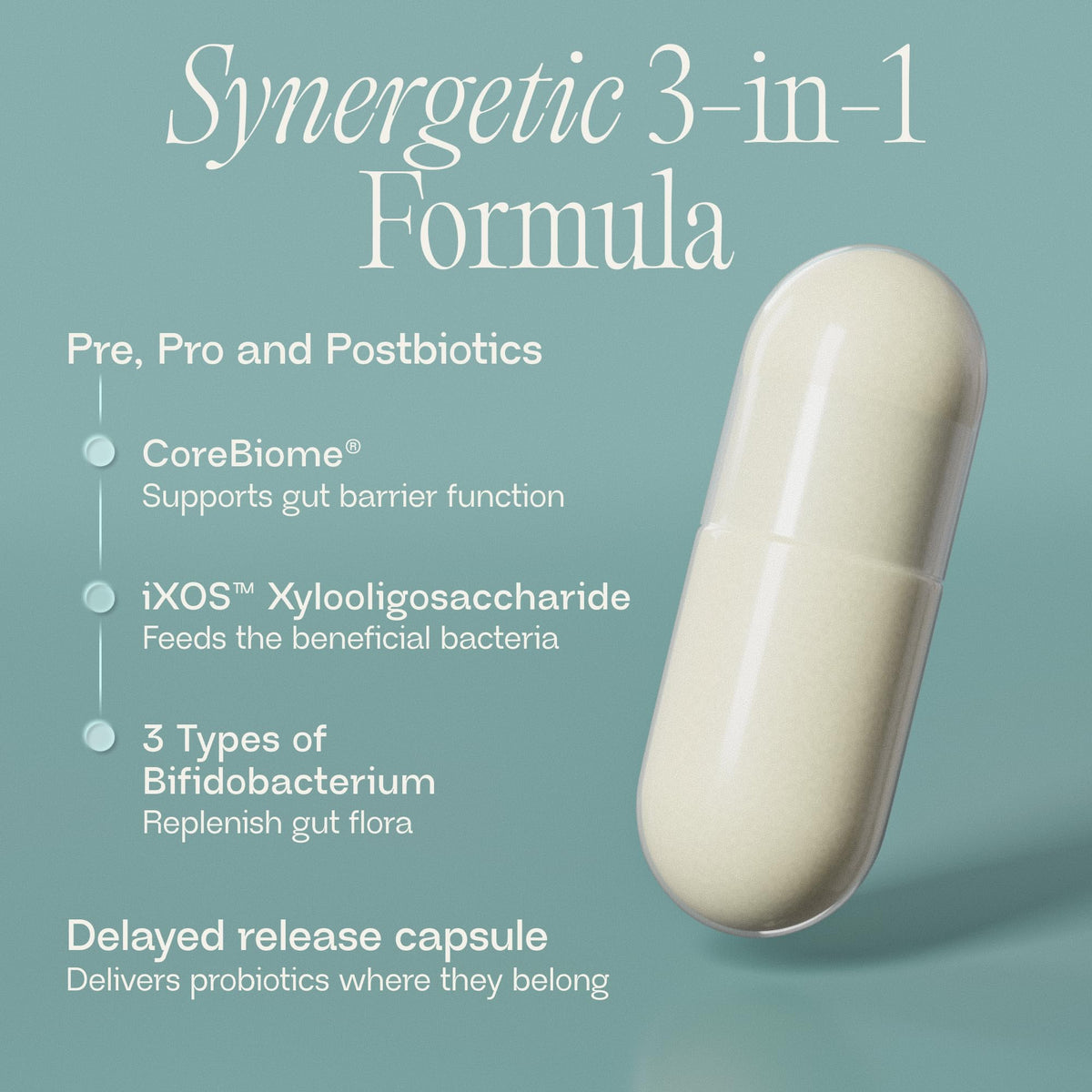 BIOMA Probiotics - Digestive Health Probiotic - Gut Support for Men & Women with Xylooligosaccharides, Tributyrin & Bifidobacterium - Vegan & Gluten Free - 60 Delayed-Release Capsules (30-Day Supply)