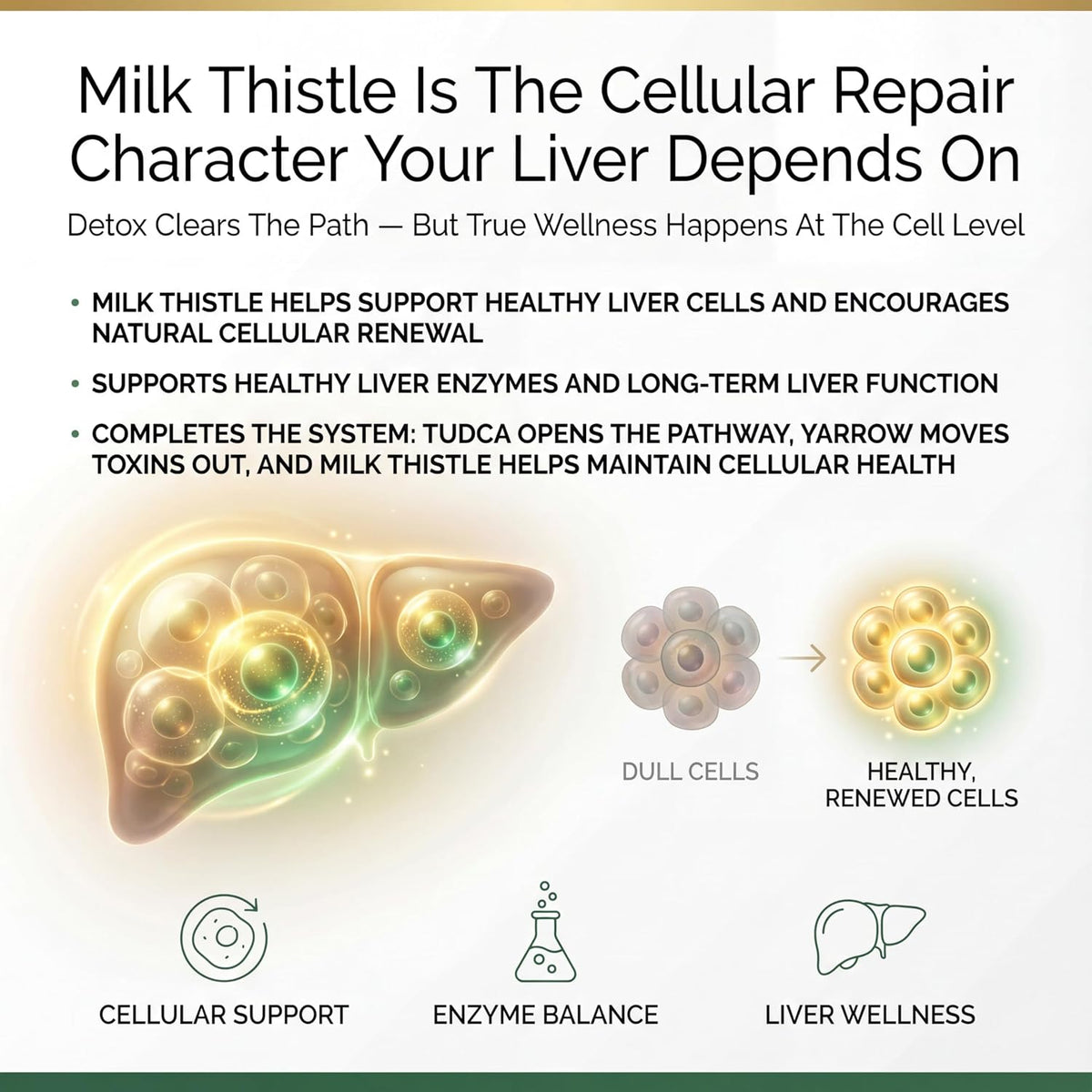 PRISTINE'S CelluClean Liver Support with TUDCA, Milk Thistle, 60 Count | TUDCA, milk thistle and yarrow in a daily liver support routine. Vegan, non-GMO, gluten-free and third-party tested formula