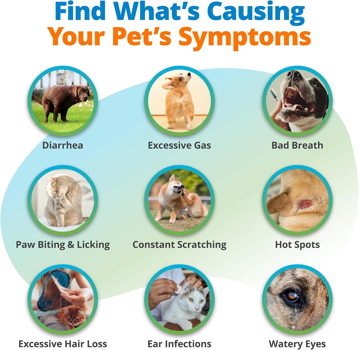 5Strands Pet Nutritional Imbalance & Food Intolerance & Environmental Sensitivity Test, At Home Hair Analysis for Dogs & Cats, Identify Nutrient Gaps & Dietary Stressors, Results in 4 Days