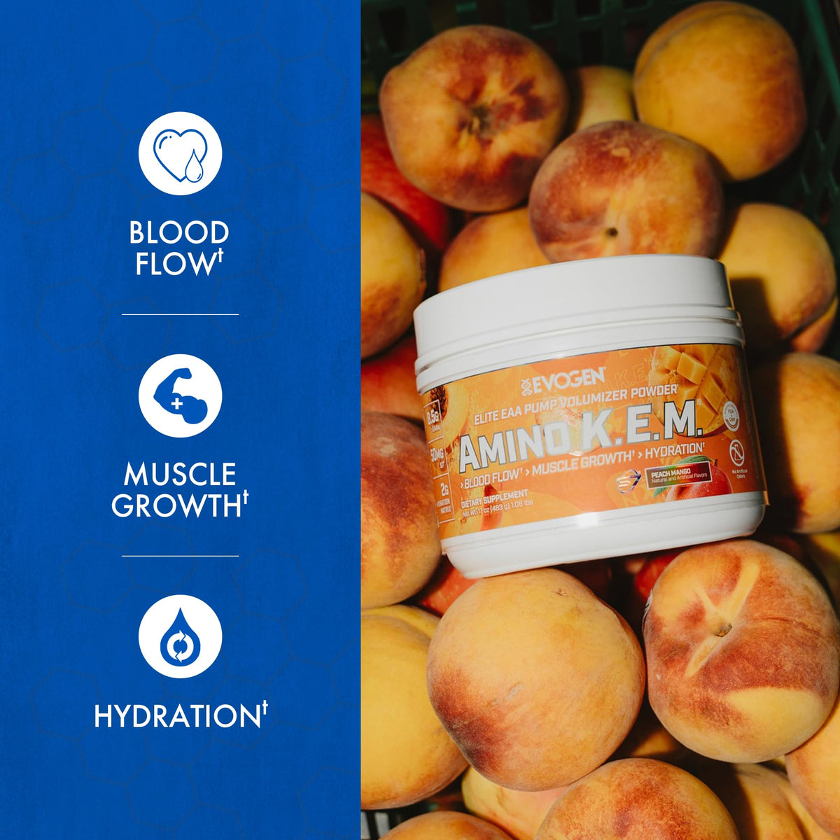 Evogen Amino K.E.M. EAA & BCAA | Tropic Thunder | 30 Servings | S7 nitric oxide blend with betaine anhydrous, coconut water and leucine for blood flow, muscle growth, hydration and recovery