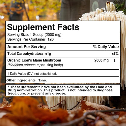WELLNESS LABSRX Lions Mane Powder, Mushroom Supplement - 2000mg - Lions Mane Supplement - Lion's Mane Mushroom Powder Brain Supplements for Memory and Focus, Immune Support and Health - 120 Servings