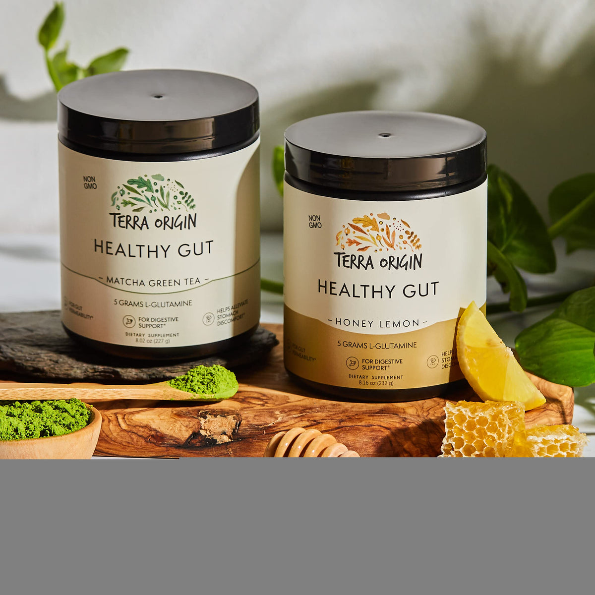 TERRA ORIGIN Healthy Gut Powder (Berry Flavor) |30-Servings with L-Glutamine, Zinc, Glucosamine, Slippery Elm Bark, Marshmallow Root and More!