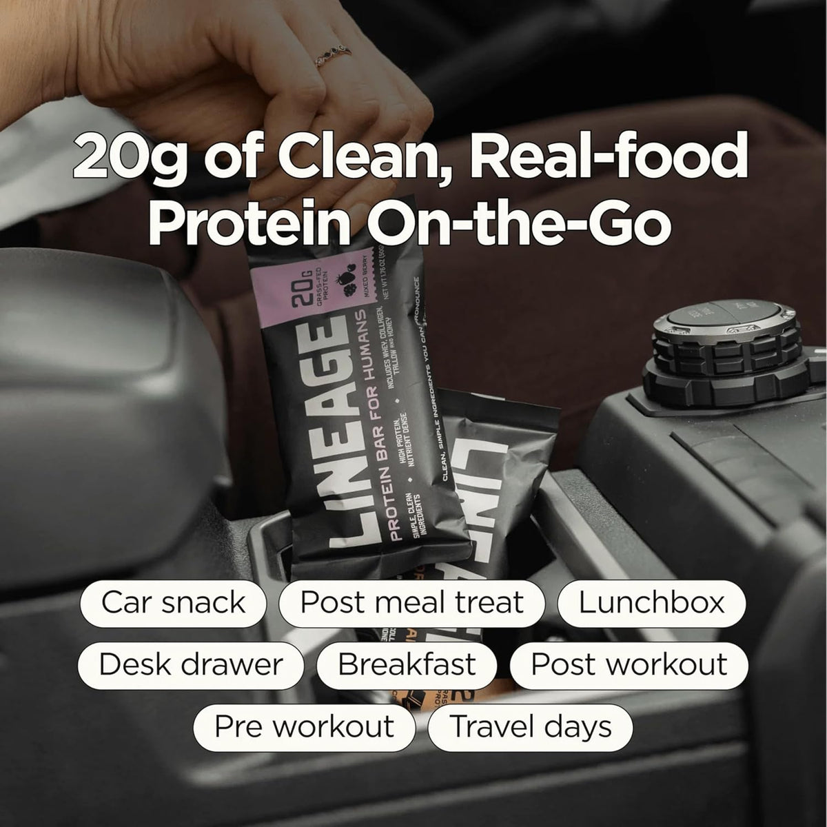 Lineage Provisions Chocolate Protein Bars, 12 Pack | 20g grass fed whey protein & collagen, gluten free, no seed oils, nothing artificial, with raw honey