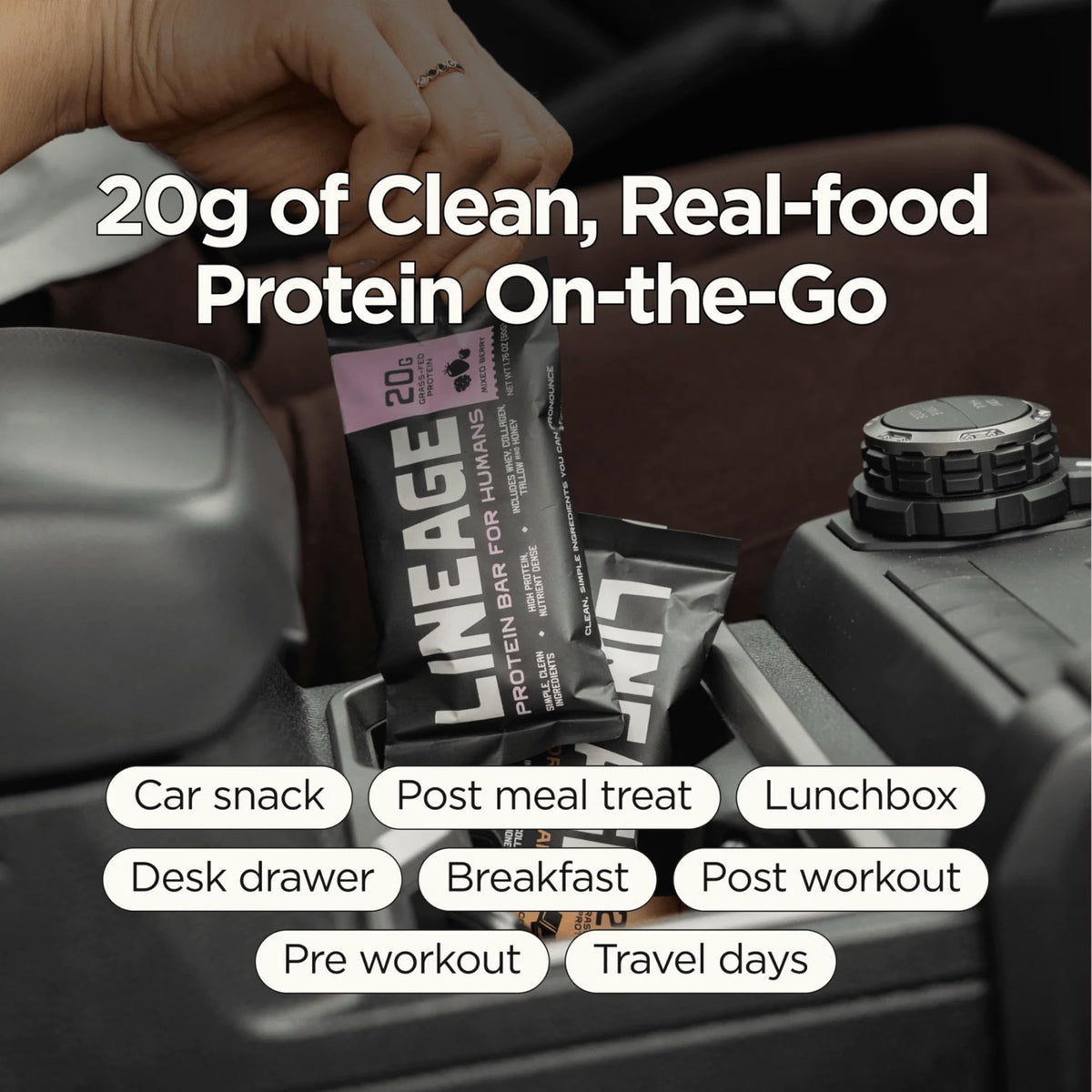 Lineage Provisions Chocolate Protein Bars, 12 Pack | 20g grass fed whey protein & collagen, gluten free, no seed oils, nothing artificial, with raw honey