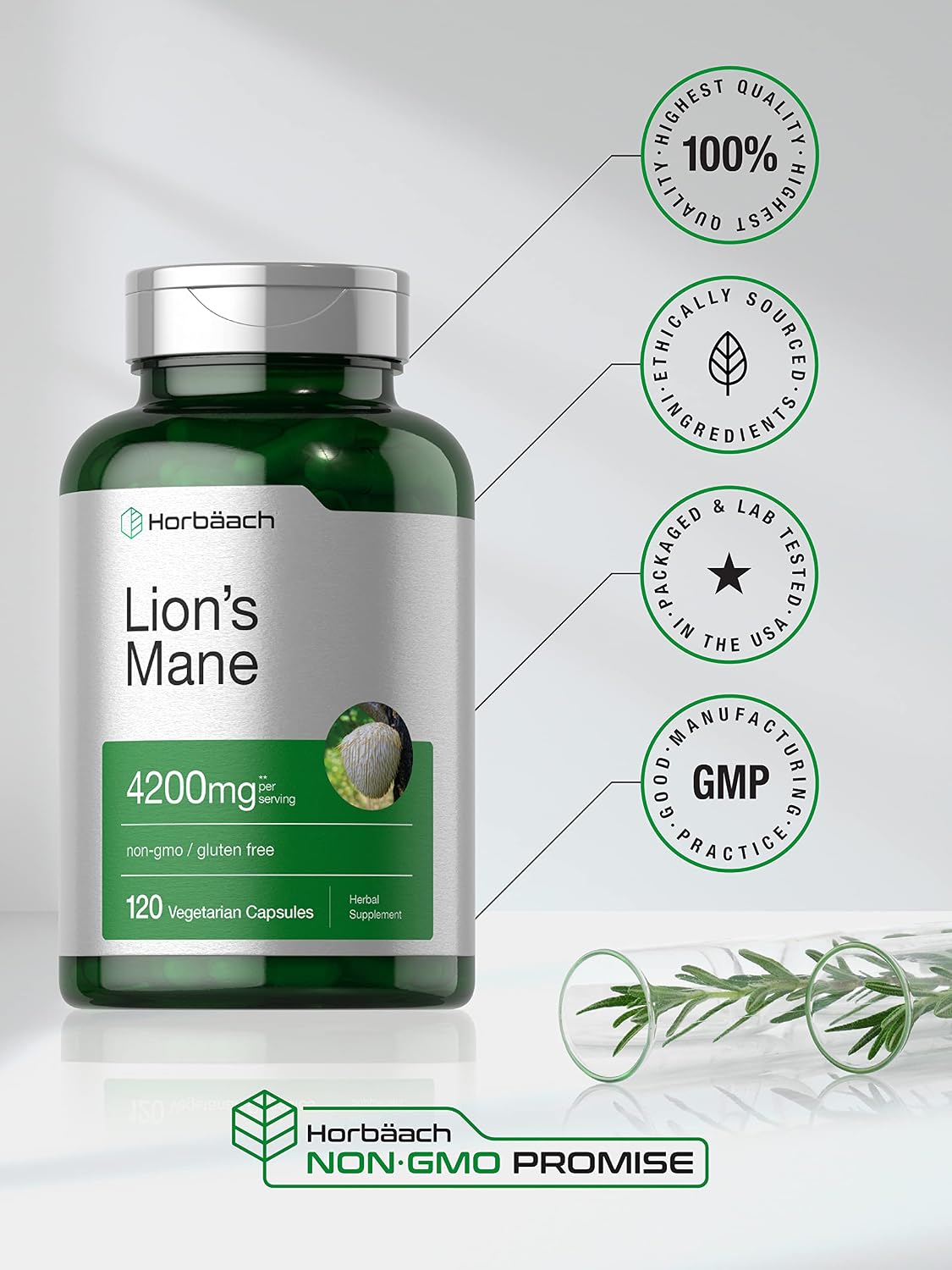 Horbäach Lions Mane Mushroom Extract | 120 Capsules | Vegetarian, Non-GMO, Gluten Free Supplement