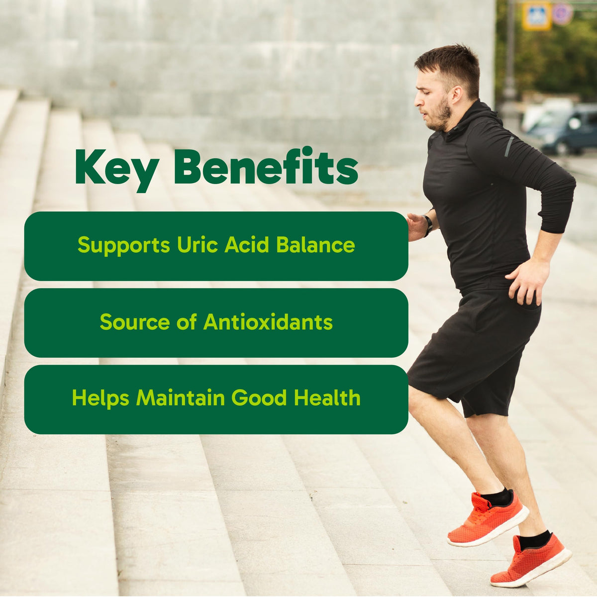 Organika Goutrin Uric Acid Flush for Gout (120 Caps): Gentle Gout Support with Cherry, Thyme, Celery Seed, Peppermint, & VIT C: Clean & Vegan Gout Supplements for Men & Women - Metabolism & Mobility