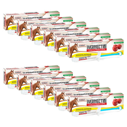 Horse Ivermectin Paste 1.87% – Apple Flavored Oral Horse Dewormer Syringe – 6.08g Tube Treats Horses Up to 1,250 lbs [Pack-1]