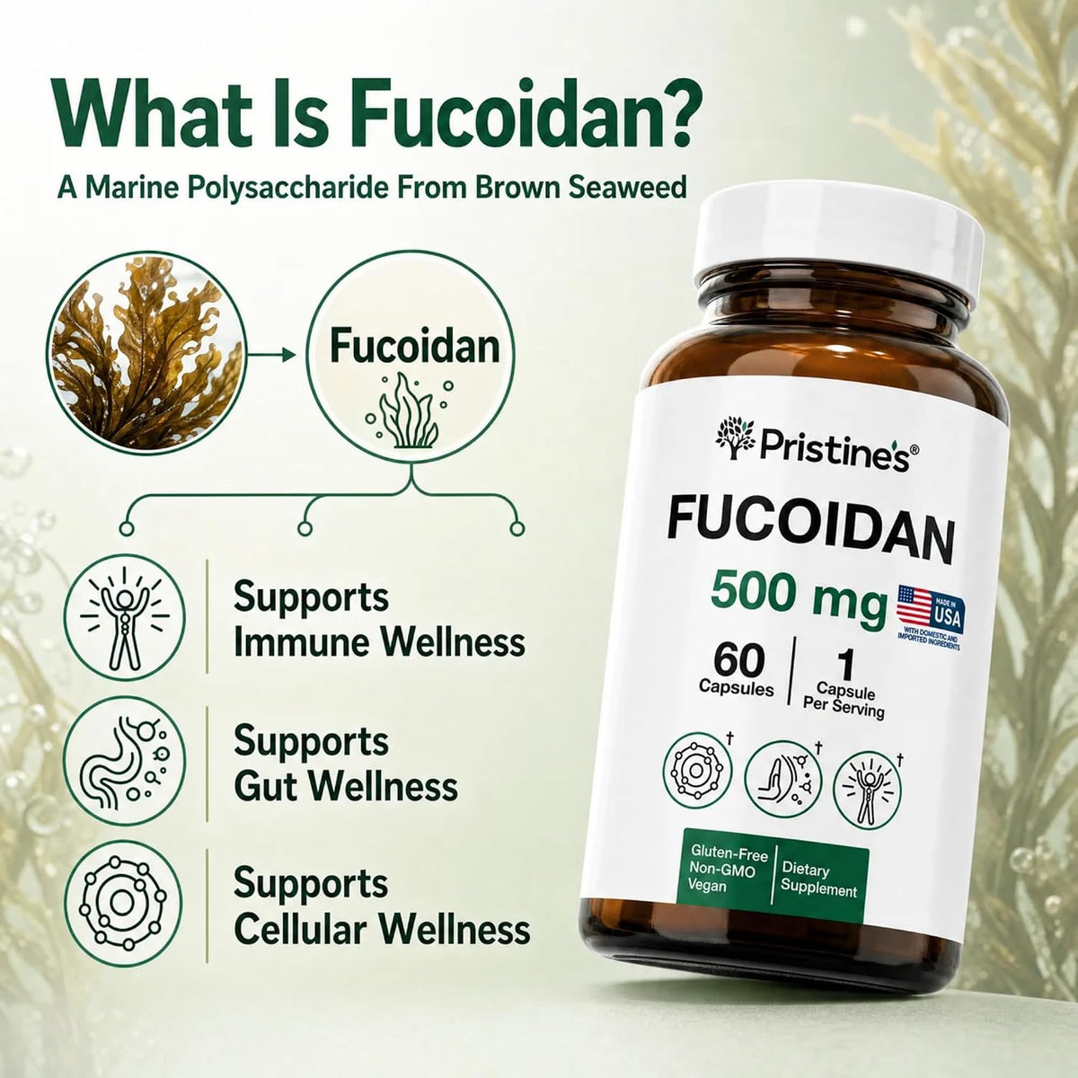 PRISTINE'S Fucoidan 500mg Brown Seaweed Extract Capsules, Vegan, 60 Count | Marine wellness support from brown seaweed extract. 60 count glass bottle, vegan, non-GMO, gluten-free, third-party tested