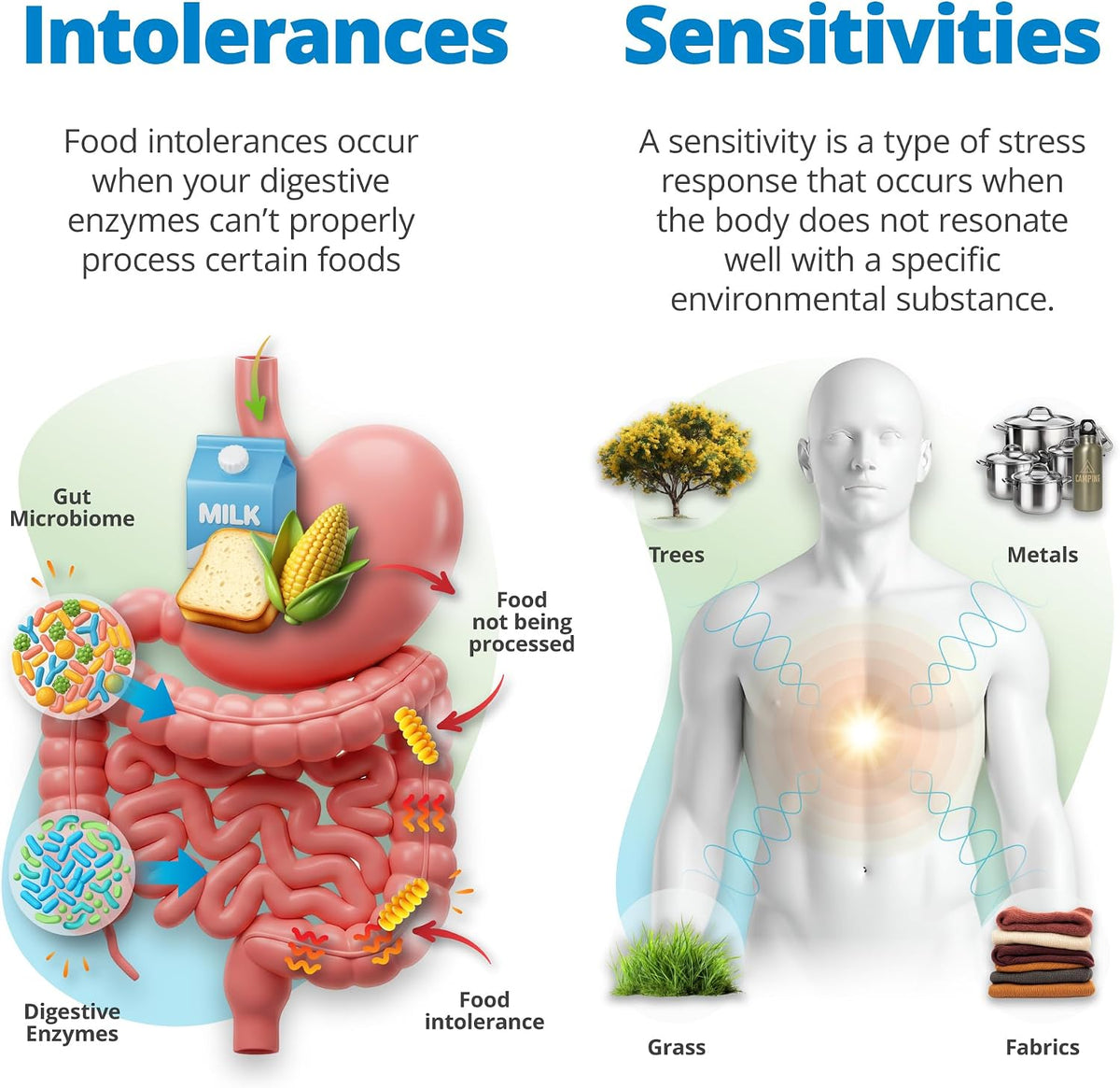5Strands Food Intolerance, Environmental Sensitivity & Vitamins & Minerals Imbalance Test, at Home Hair Analysis for Adults & Kids, Digestive & Nutrient Insight, Results in 4 Days