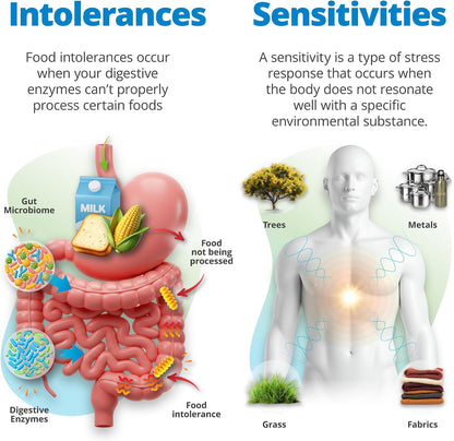 5Strands Food Intolerance, Environmental Sensitivity & Vitamins & Minerals Imbalance Test, at Home Hair Analysis for Adults & Kids, Digestive & Nutrient Insight, Results in 4 Days