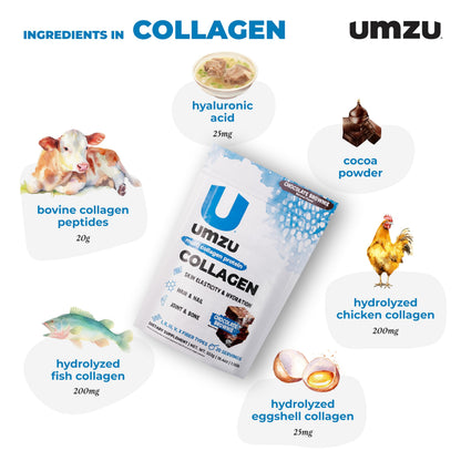 UMZU zuCollagen Collagen Peptides Powder, Unflavored | 5 Collagen Types I, II, III, V and X, Hydrolyzed Collagen Peptides, Hair, Skin, Joint and Daily Recovery Support