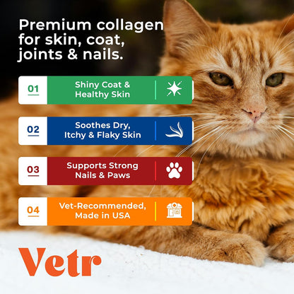 Vetr Skin & Coat Collagen for Dogs - Bacon Flavored Liquid Supplement - Supports Healthy Skin & Shiny Coat - 4 oz (120mL) - Vet-Formulated in USA