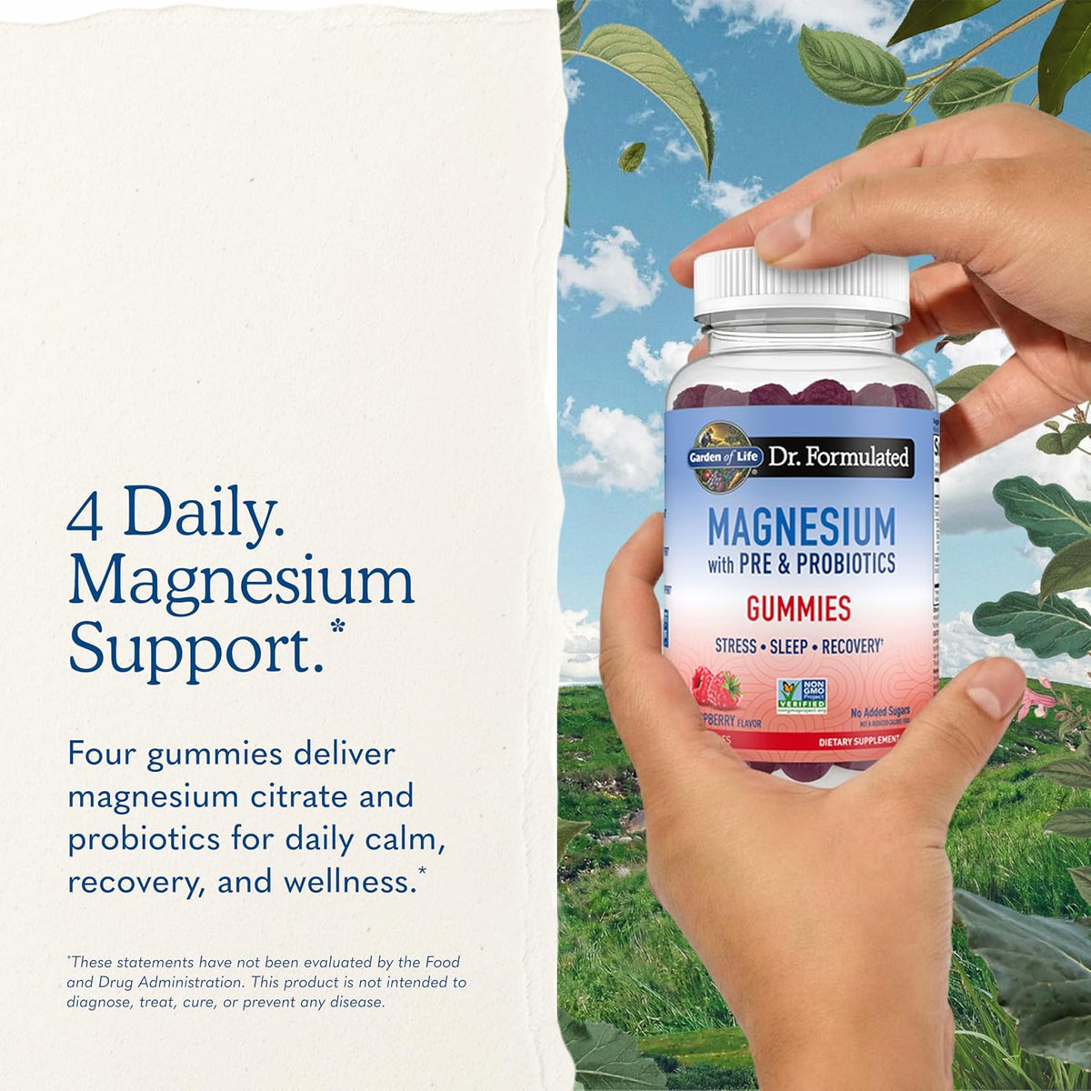 Garden of Life Magnesium Citrate Supplement Gummies with Prebiotics & Probiotics for Stress, Sleep & Recovery - Vegan, Gluten Free, Kosher, Non-GMO, No Added Sugars, Raspberry Flavor, 60 Count