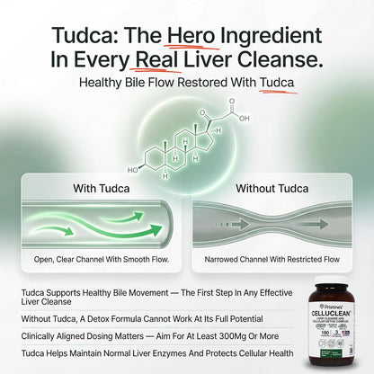 PRISTINE'S CelluClean Liver Support with TUDCA, Milk Thistle, 60 Count | TUDCA, milk thistle and yarrow in a daily liver support routine. Vegan, non-GMO, gluten-free and third-party tested formula