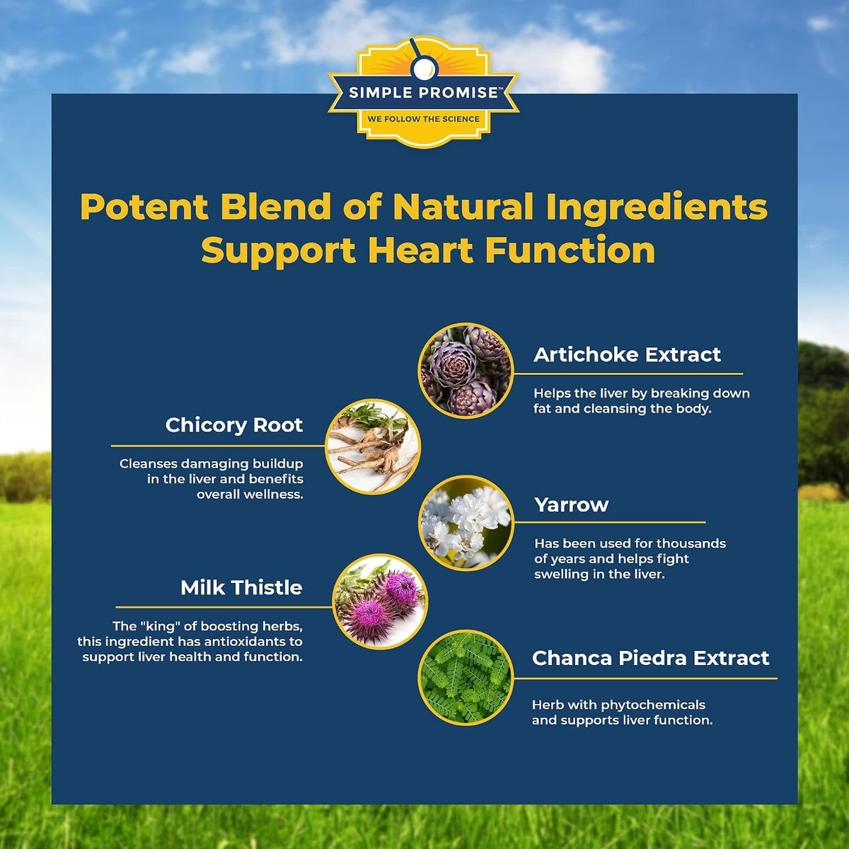 PuraBurn and Levitox Bundle - Gut & Liver Support - Sea Moss, Milk Thistle | Cleanse-Metabolism Duo, For Steady Morning Energy, With Bladderwrack and Dandelion, Two Capsules of Each Daily