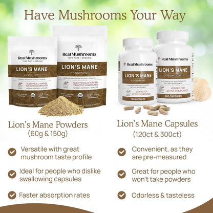 Real Mushrooms Lions Mane for Humans (60 Servings) and Pets (120ct) - Powder & Capsules Bundle for Cognition & Immunity - Vegan, Non-GMO, Gluten-Free, Grain-Free Mushroom Extract Supplements