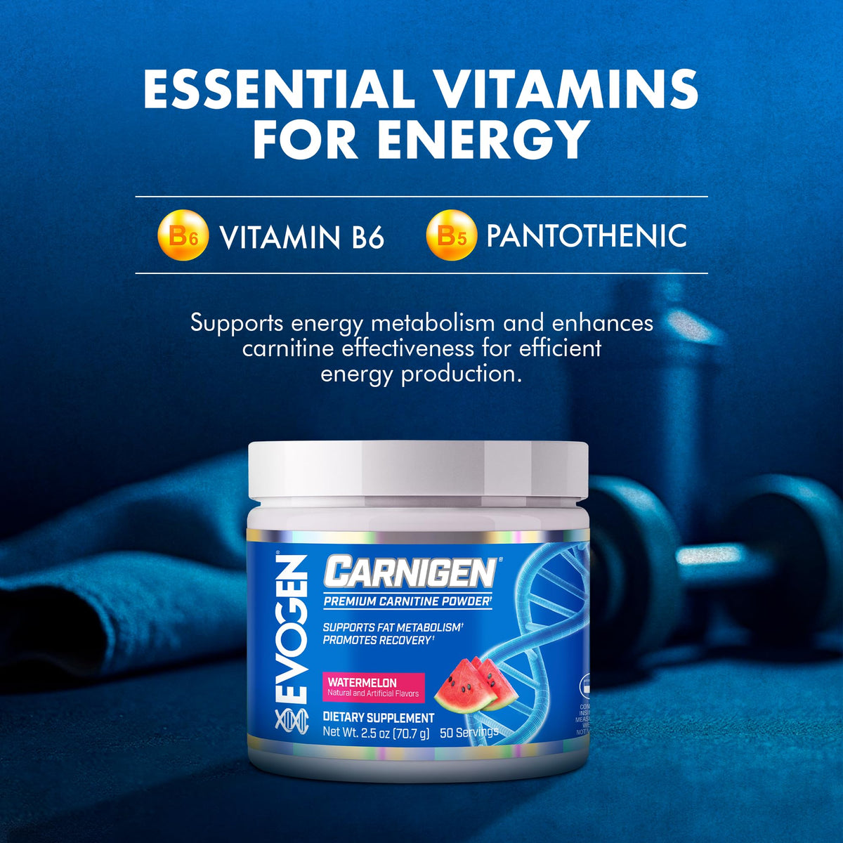 Evogen Carnigen Supports Energy and Metabolism | Raspberry Lemonade | 50 Servings