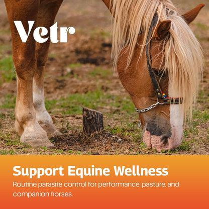 vetr Horse Intestinal Support Paste PraziMectin - Apple Flavor - 0.225 oz Syringe - for Horses up to 1320 lbs